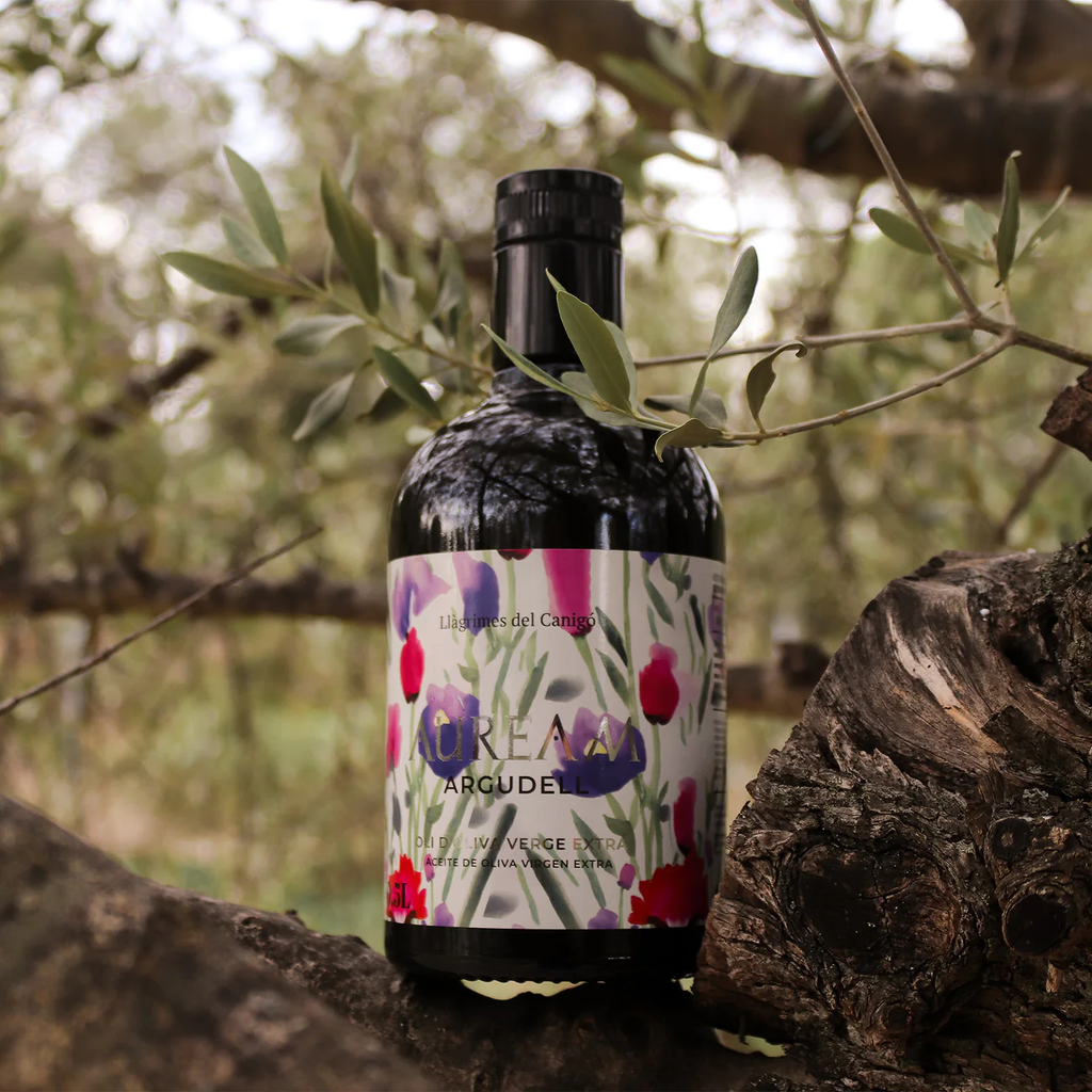 Auream Argudell – Aceite de Oliva Virgen Extra (AOVE) Español Premium 500ml (16.9 fl oz) – Llàgrimes del Canigó - Casa Alicia Ultramarinos