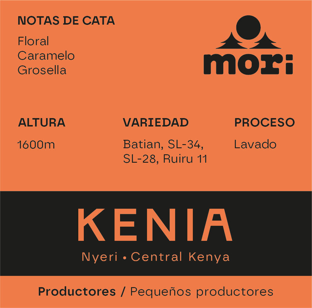 Kenya - Nyeri - Kenia Central - Lavado