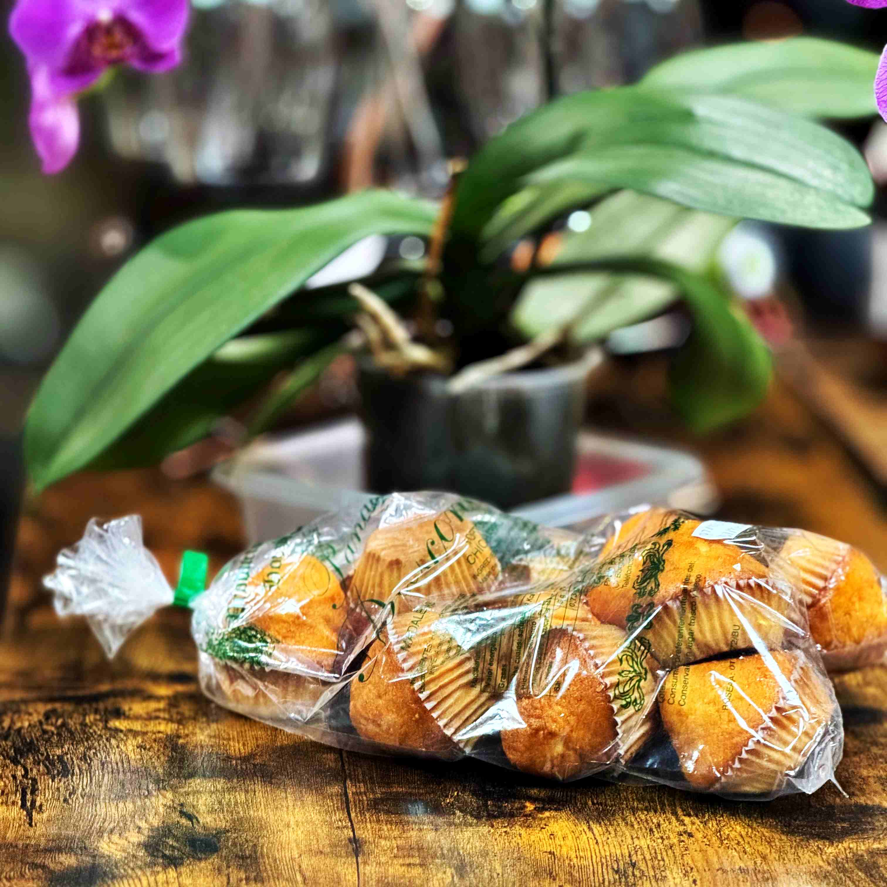 Magadalenes - Basconets del Tozo (Burgos)